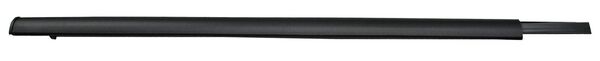 MOLDURA CANUELA PTA EXT FORD PU 04-10 TRAS ***** IZQ