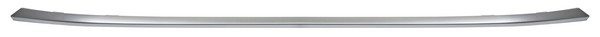 YY100MOLDURA DEFENSA DEL AVEO 24-25 PLATA NZL ODC100 250918